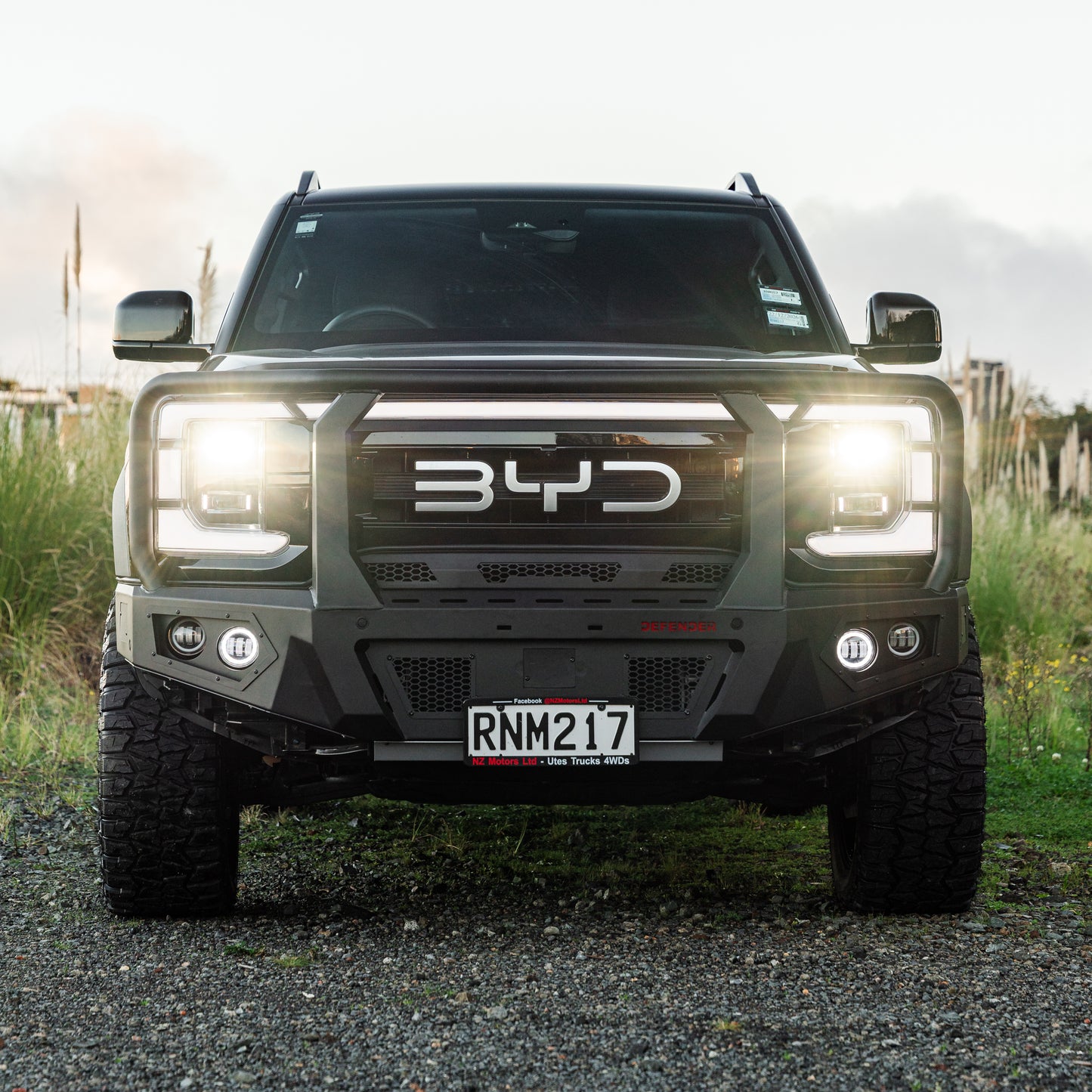 SHIELD Off-Road Triple Loop Bull-Bar to suit BYD Shark 6 2024 - Present - view 2